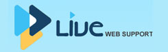 live web support